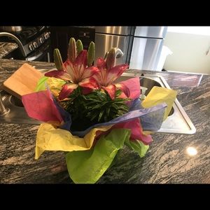 Meet your Posher, Socheata